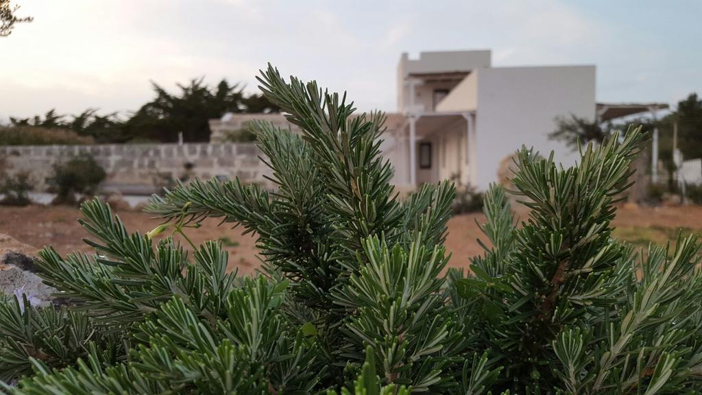 Casa Vacanze Senia Del Rais Favignana Eksteriør bilde